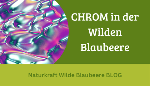Teil 6 : Die wilde Blaubeere enthält CHROM