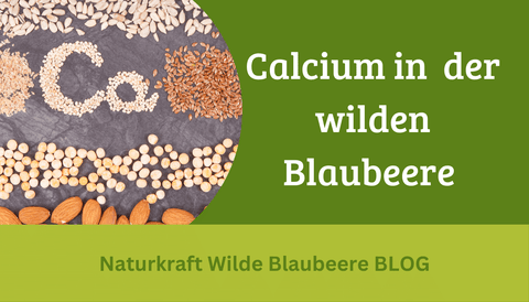 Teil 4 : Die wilde Blaubeere enthält CALCIUM