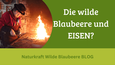 Teil 5 : Die wilde Blaubeere enthält EISEN