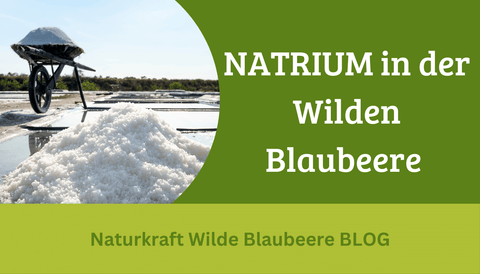 Teil 8 : Die wilde Blaubeere enthält NATRIUM