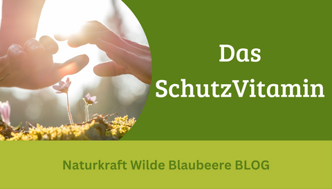 Teil 1 : Die wilde Blaubeere enthält VITAMIN E!