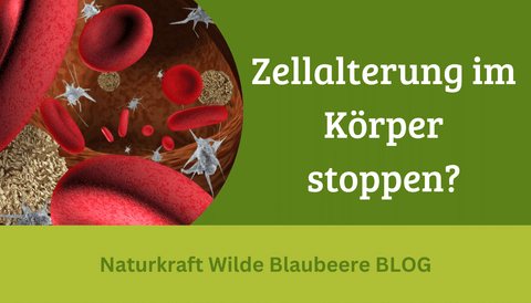 Alternde Zellen loswerden, aber wie? DIE 3 TOPP TIPPS !