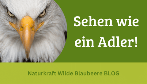 Klare Sicht in starken Zeiten !