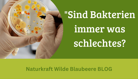 Hilfe, ich habe Bakterien!