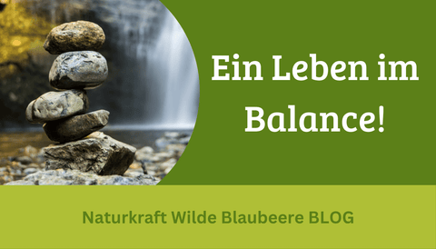 Ein beerenstarkes Leben in Balance