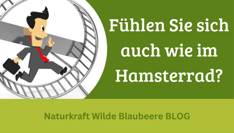 HAMSTER geben Vollgas !
