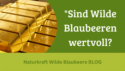 Wilder Blaubeerextrakt