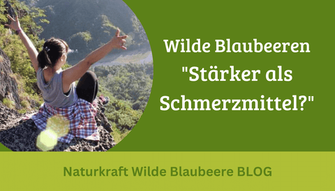 VIDEO: Blaubeeren als therapeutischer Ansatz bei chronischen Erkrankungen?