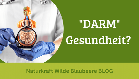 Aktionstag Chronisch entzündliche Darmerkrankungen und die positiven Auswirkungen wilder Blaubeeren auf den Darm?