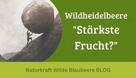 Problemlöser Wildheidelbeere!