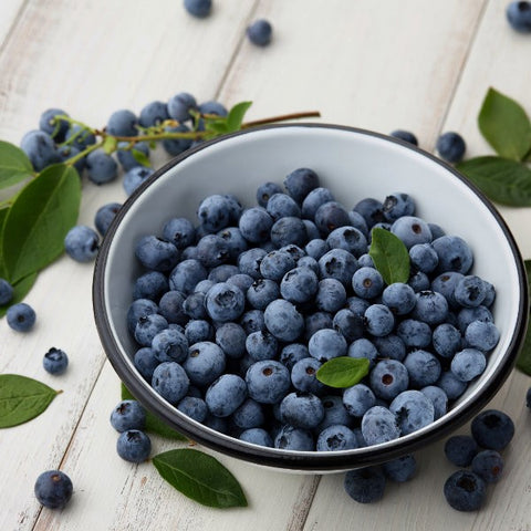 PODCAST: Die wilde Blaubeere