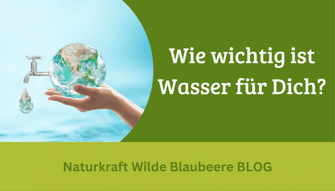 WASSER - Wervoller Helfer für Deine Gesundheit!