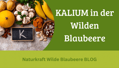 Teil 3 : Die wilde Blaubeere enthält KALIUM