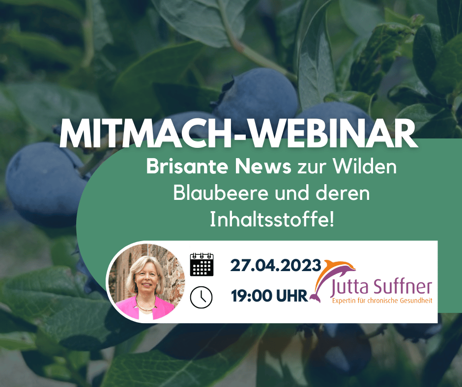 Mitmach-Webinar mit Jutta Suffner! Brisante Ergebnisse einer Untersuchung zur wilden Blaubeere