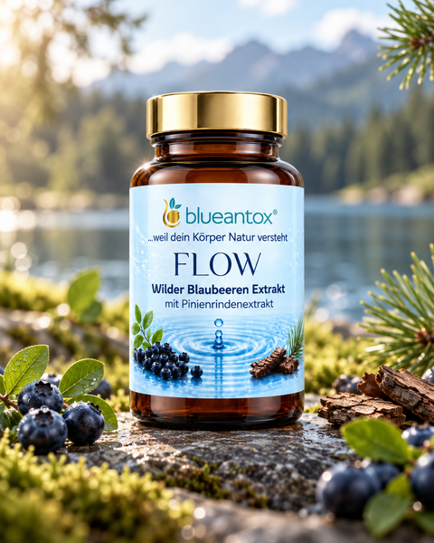 blueantox®FLOW Wilder Blaubeeren Extrakt – Produktbild 2