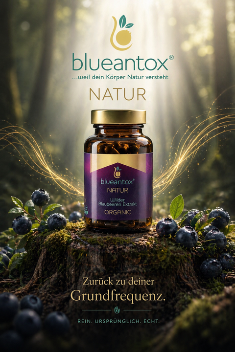 blueantox®NATURE Wild blueberry extract 90 capsules